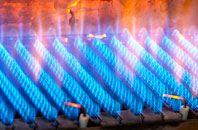 Aldersey Park gas fired boilers